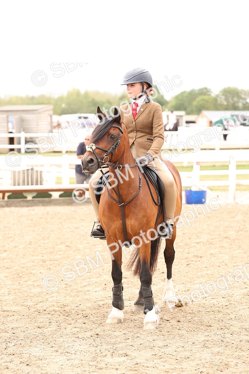 SBM_06239 - Class 57b -  Style & Performance - 60cm (20+)