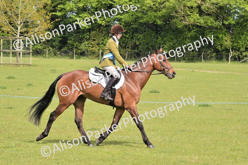 20260426-1180 - Class 19 - Retraining Of Racehorses