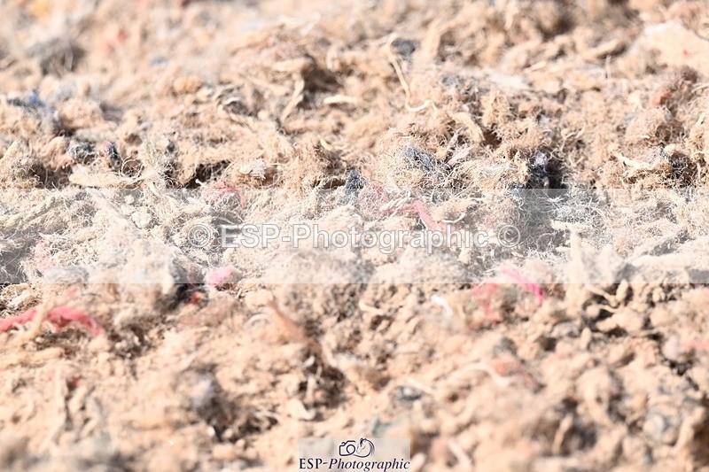 250620-163647-05373 - BD Cls 13 - Adv Medium 5