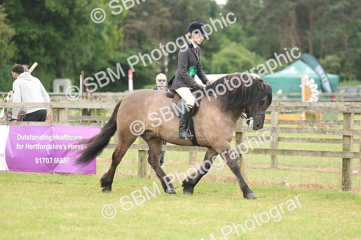 SBM_09064 - Class 78-80 - Ridden M&M Non Welsh Ponies