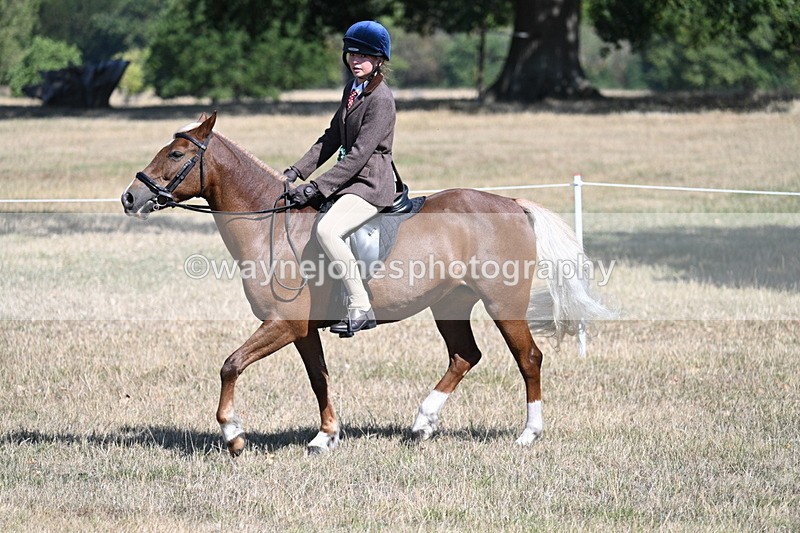 WJ7_4250 - Class 9 Mountain & Moorland Ridden