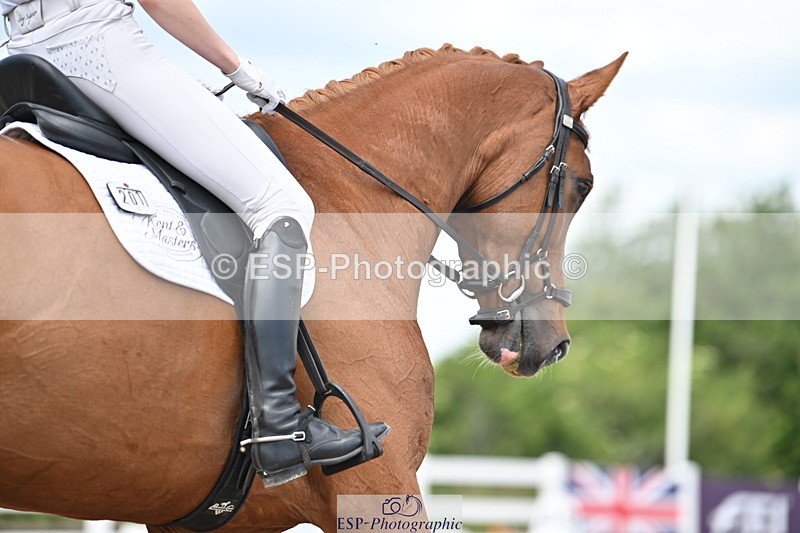 240621A-123308-02157 - Cls 7 BD Elementary 45