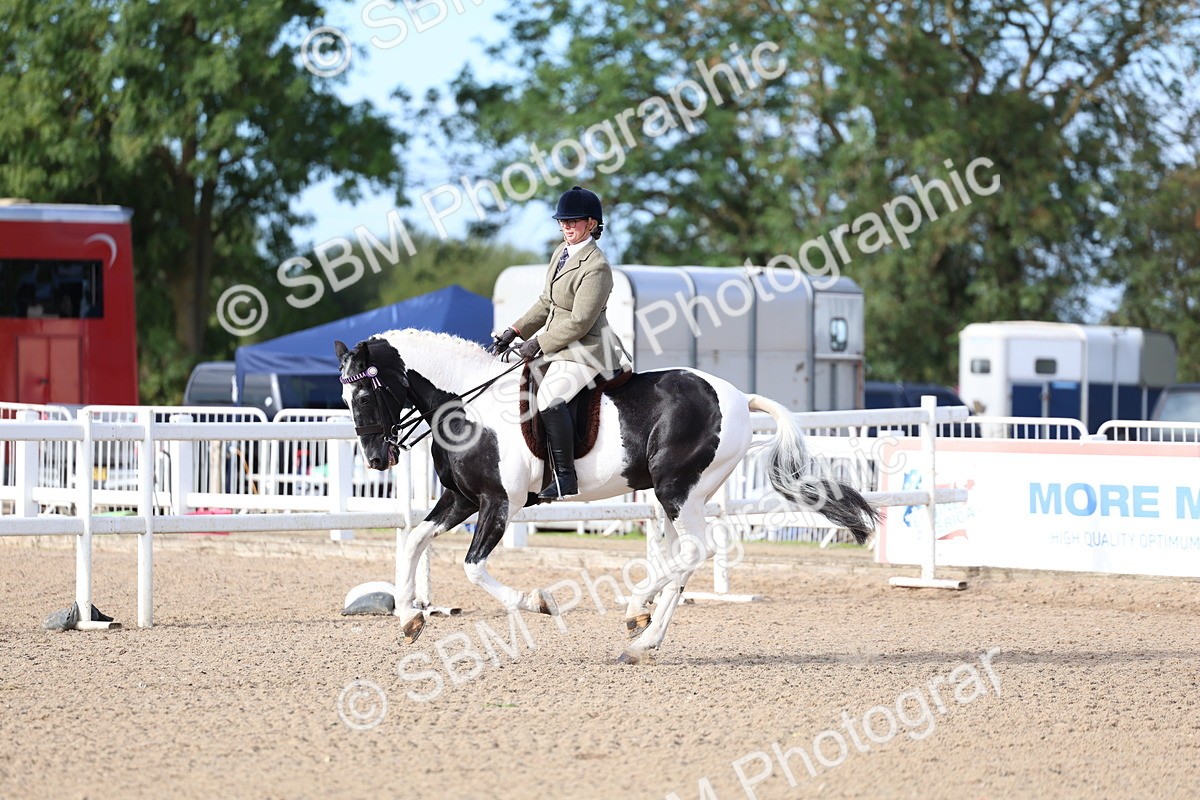 SBM_16734