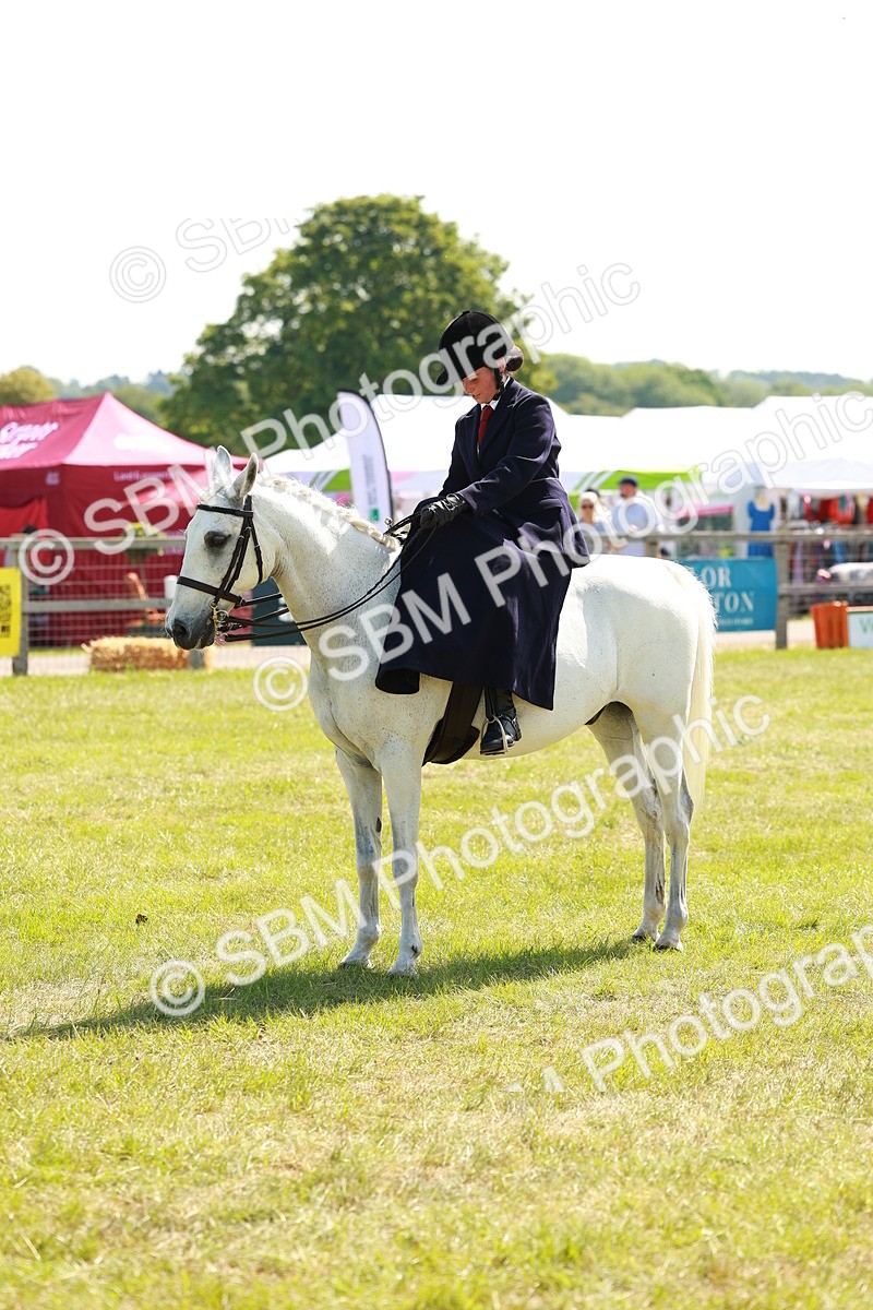 SBM_13364 - Class 70-71 - Side Saddle