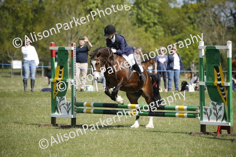 20250427-2132 - Class 13 - Novice Jumping 60cm