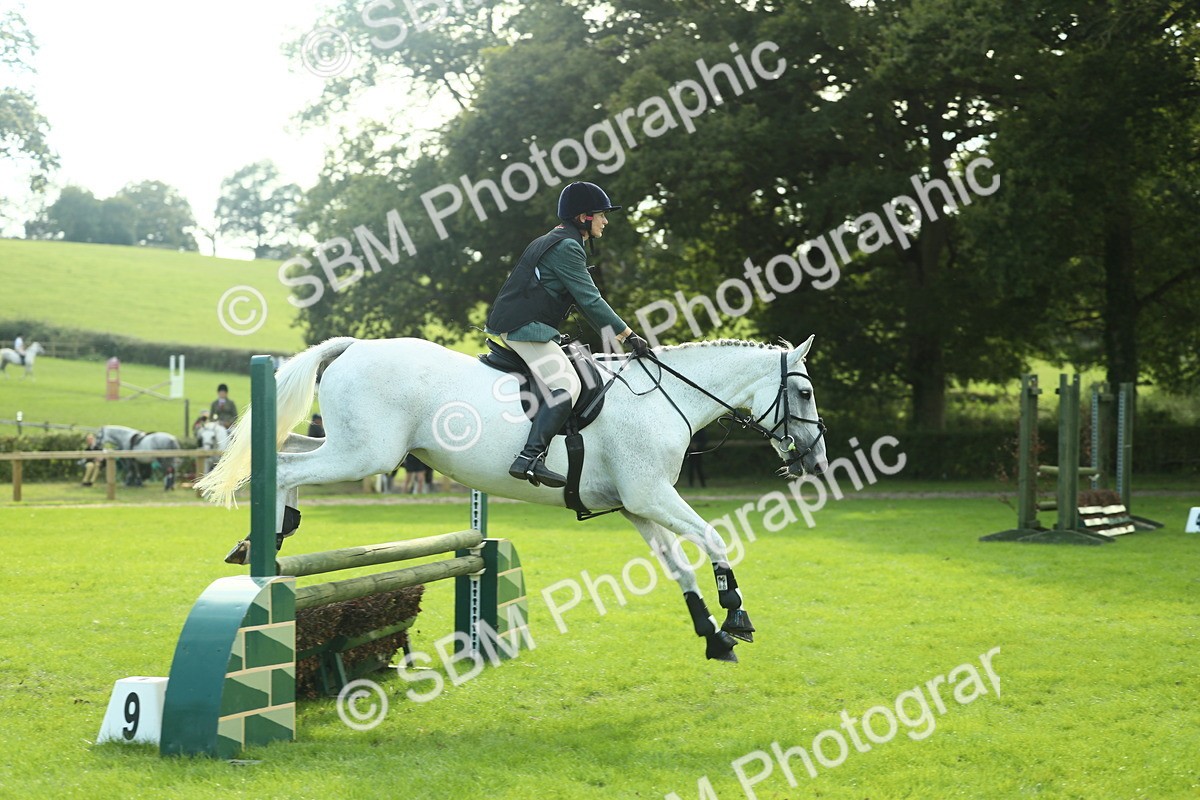 SBM_50609 - S33 - Working Hunter & Working Show Horse