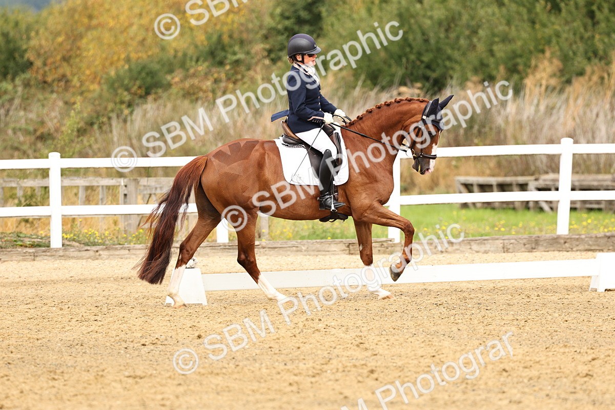 SBM_012301 - Class 2 - Prelim 5