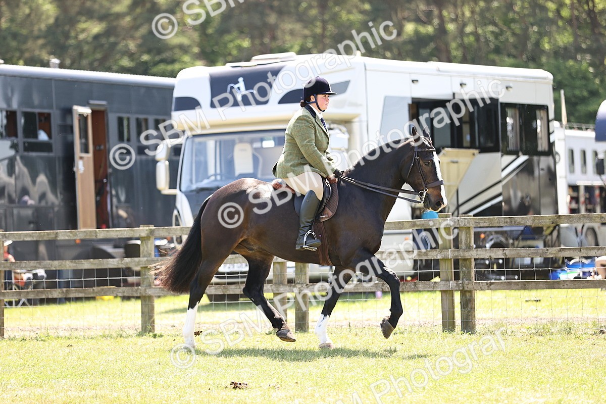 SBM_17812 - Class 81-83 - TSR Ridden Amateur of the Year - Horses