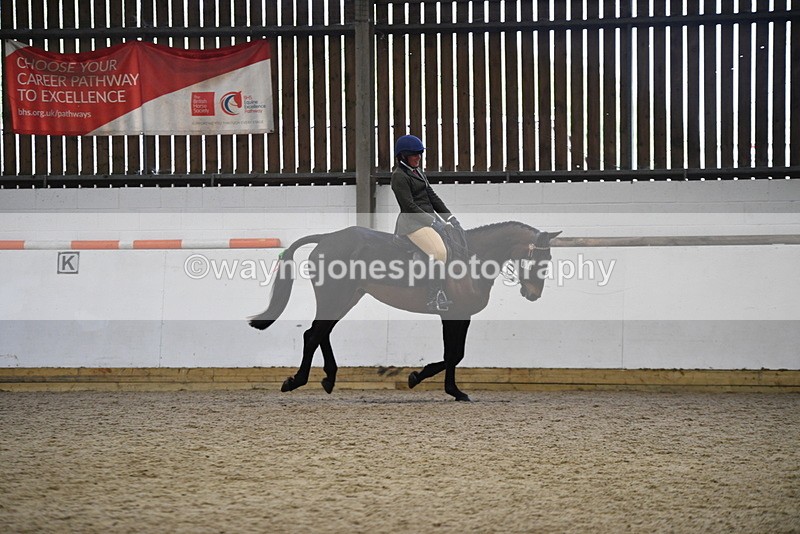WJ5_8027 - Class 13 Ridden Part Breed