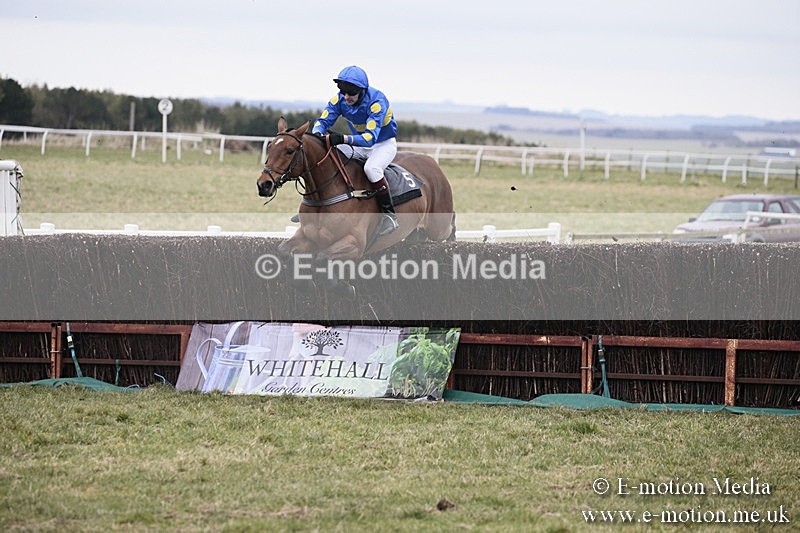 PtP 180218 146 - Combined Services Point-to-Point Larkhill 18/02/18