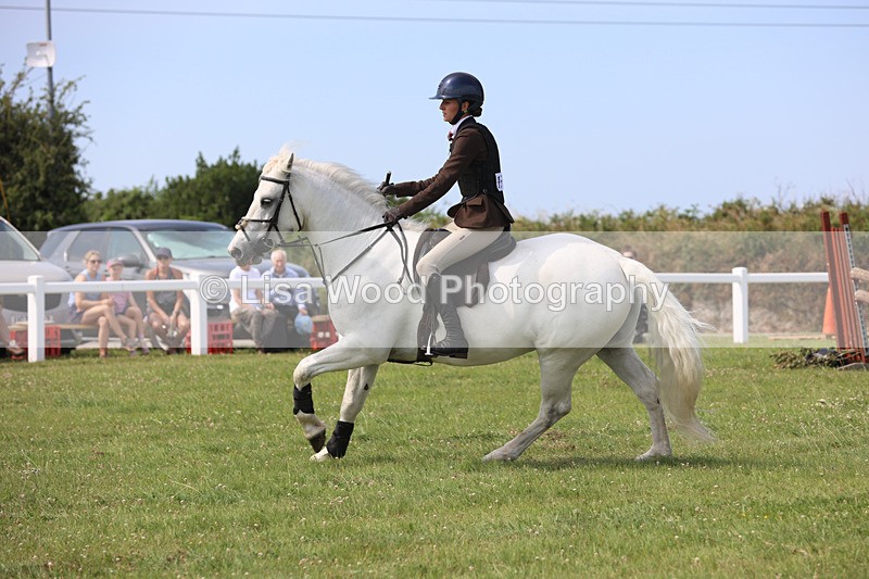 JPP_3712 - Class 23: Working Hunter 80cm