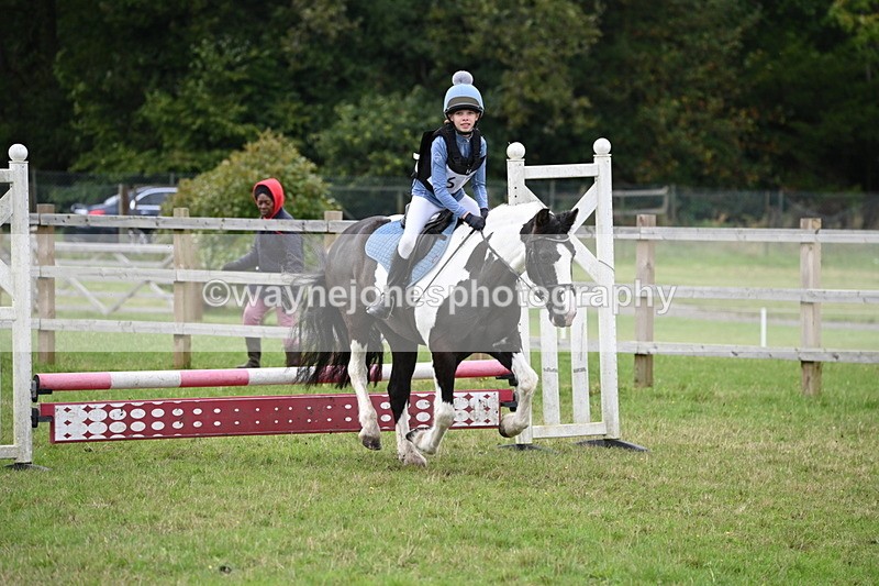 WJ6_1917 - 60cm Time 12:30 to 12:49