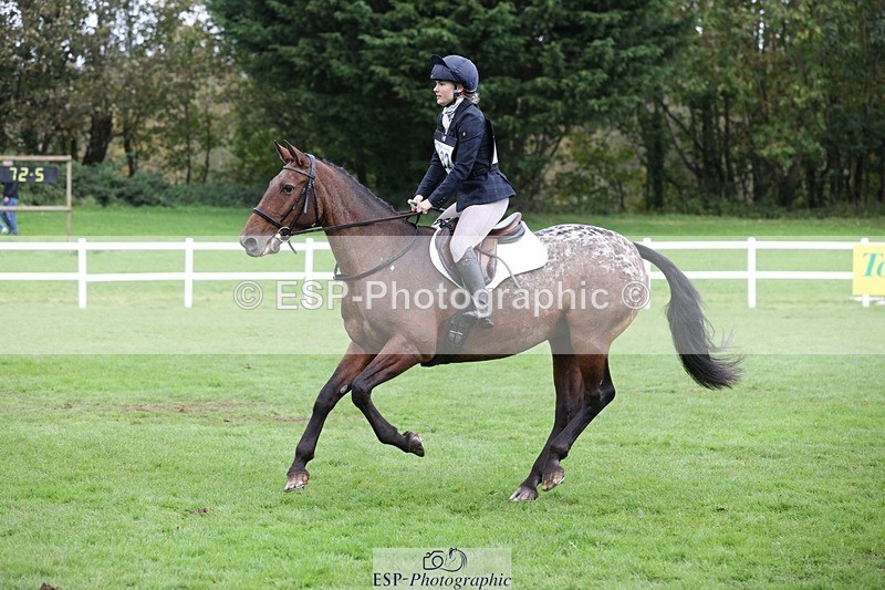 231022-133323-27765 - 482-ODDSPOT.VITAL.ELEMENT-Danielle.Davies-TrotUp+SJ