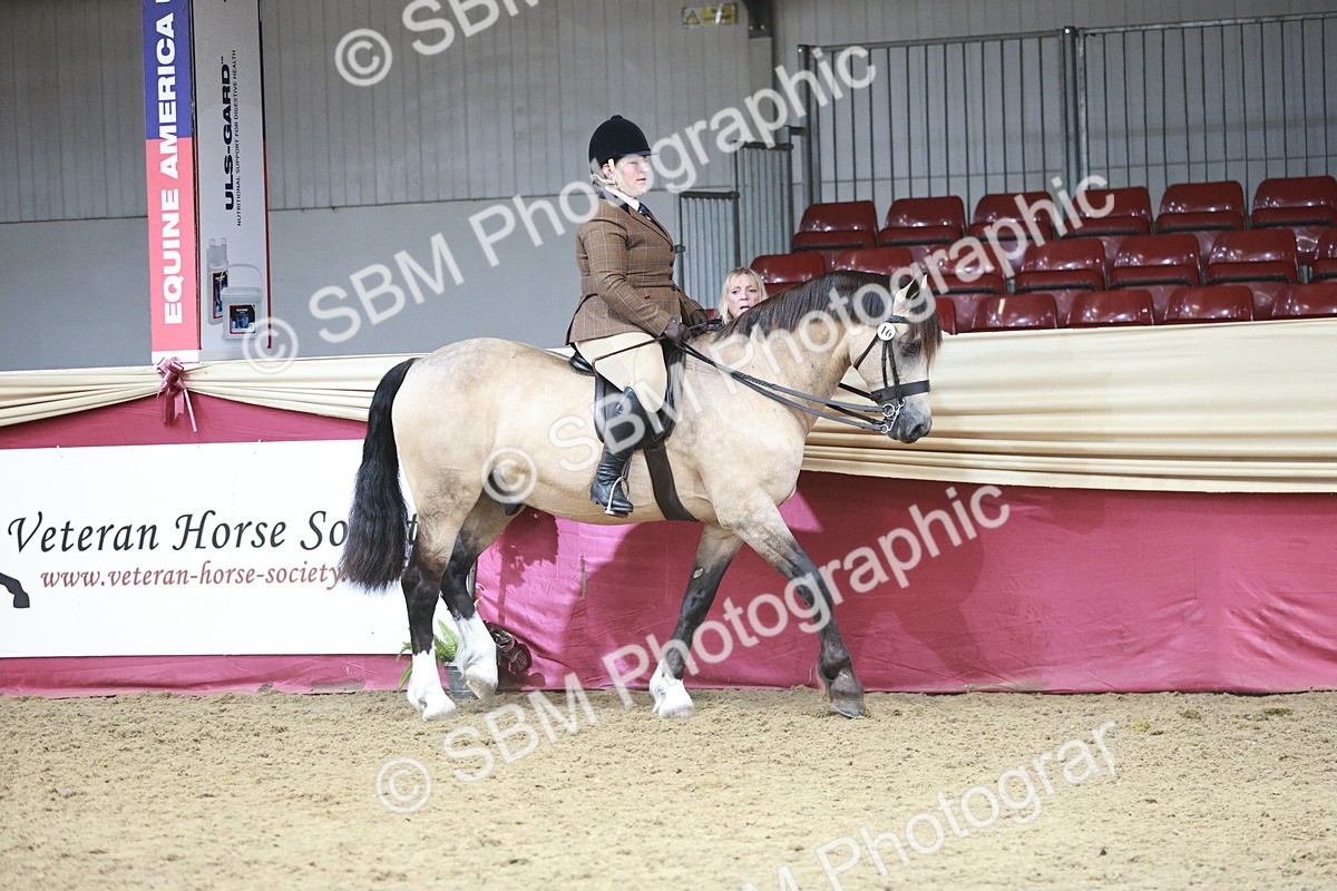 SBM_08795 - Class 12R - Regional Ridden Pre-Vet