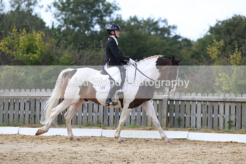 3E7A4167 - Class 9: Novice 6 Section B Championship