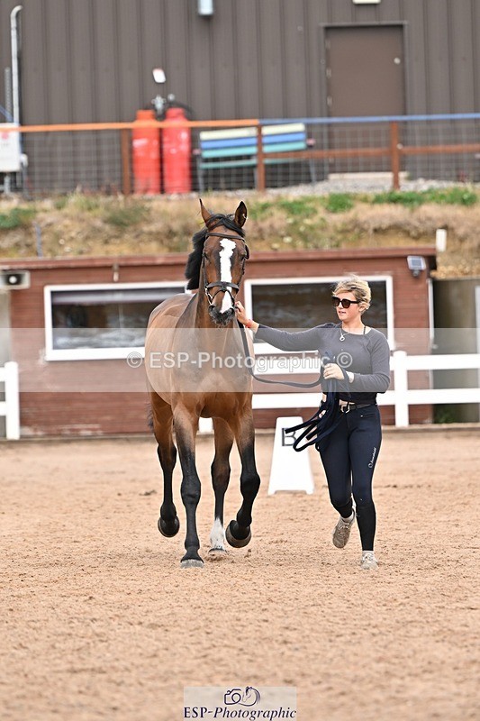 250716-161917-02556 - Trot Up 3.30 to 4.30