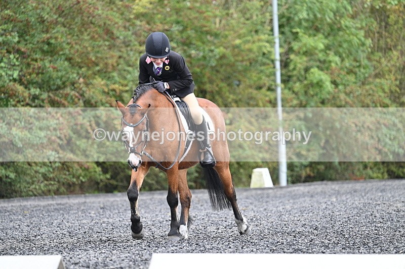 WJ7_4049 - Time 11:04 to 11:38