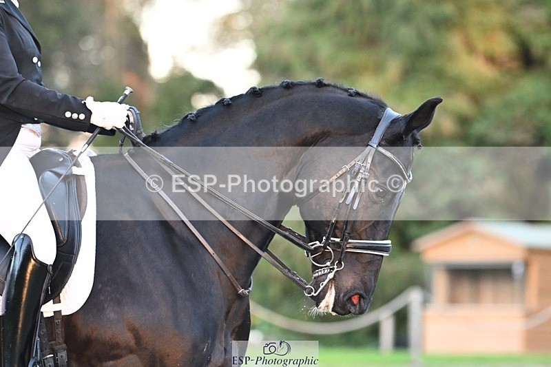 231110-160907-02473 - Cls 12 FEI Inter I