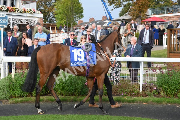 yr09102021r4-1 - Race 4 3.15pm Coral Sprint Trophy Handicap