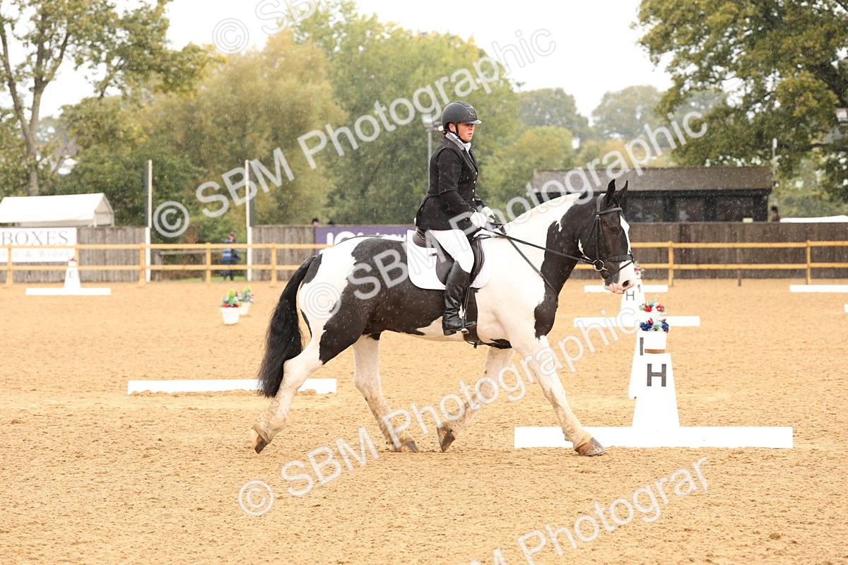 SBM_40606 - D6 - Small Tour Championship Intro 4