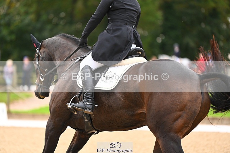 231020-154657-12098 - 318-KILTEALY.PROPHET-Alice.Dunsdon-DR