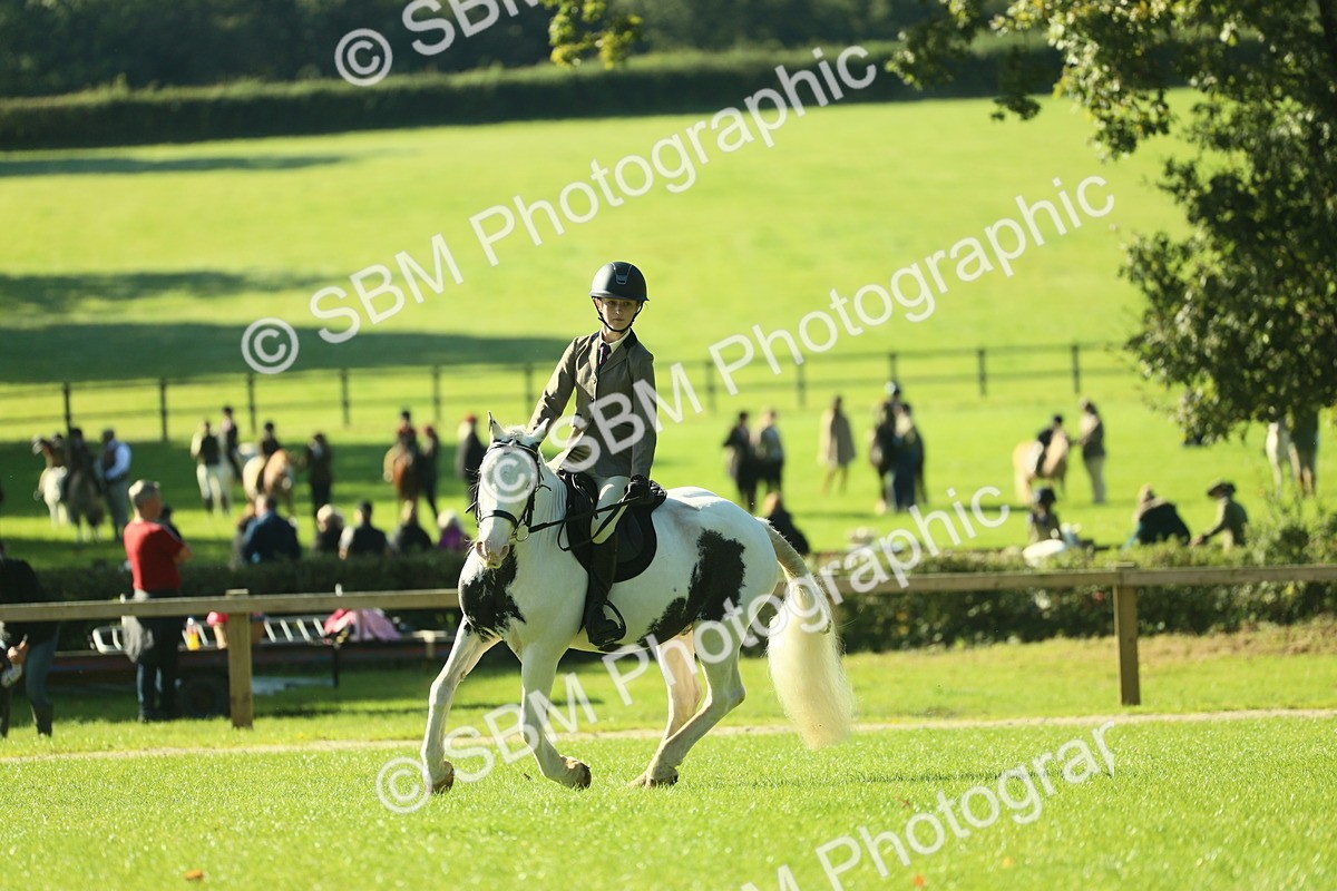 SBM_36435 - S29 - Novice & Newcomers Working Hunter Pony