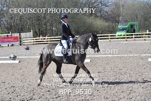 BPP_9530 - NOVICE 6