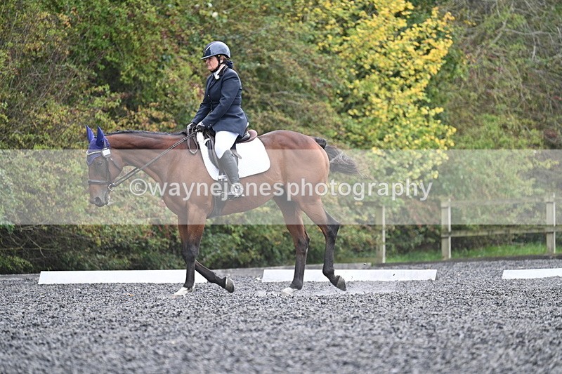 WJ7_6452 - Time 14:49 to 15:14