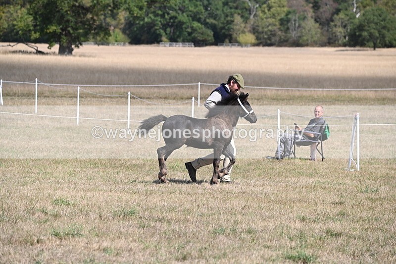 WJ6_5132 - Class 17 Mountain & Moorland