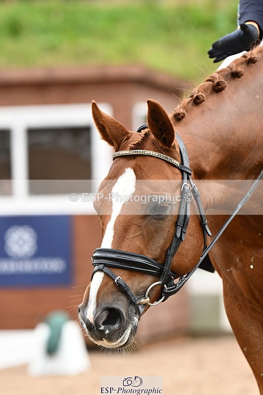 240815A-115157-00892 - 159-Verity.Perry-Bianchi