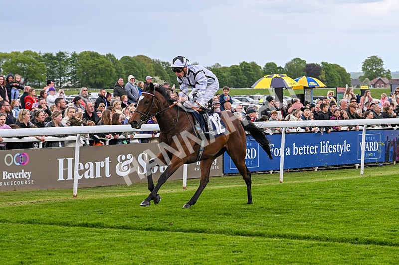 050525-Race 1-Saucy Jane-4091 - Race 1