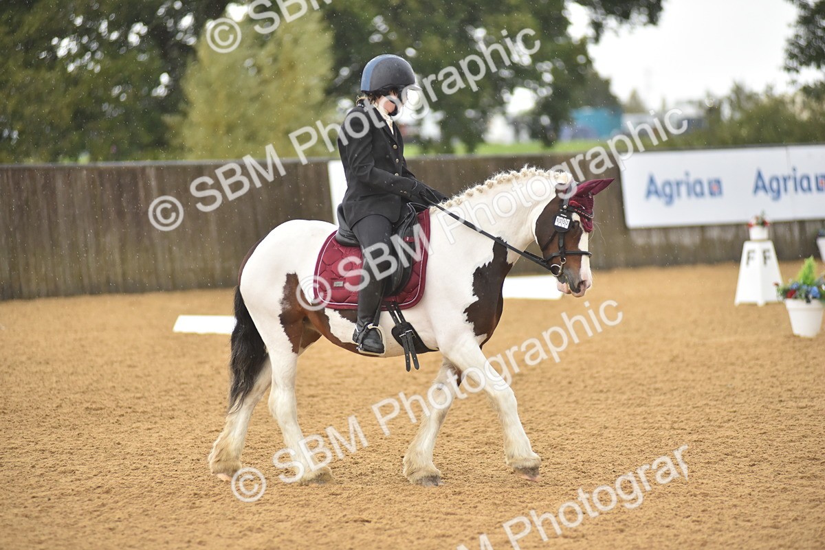 SBM_00453 - D7 - Small Tour Championship Prelim 2