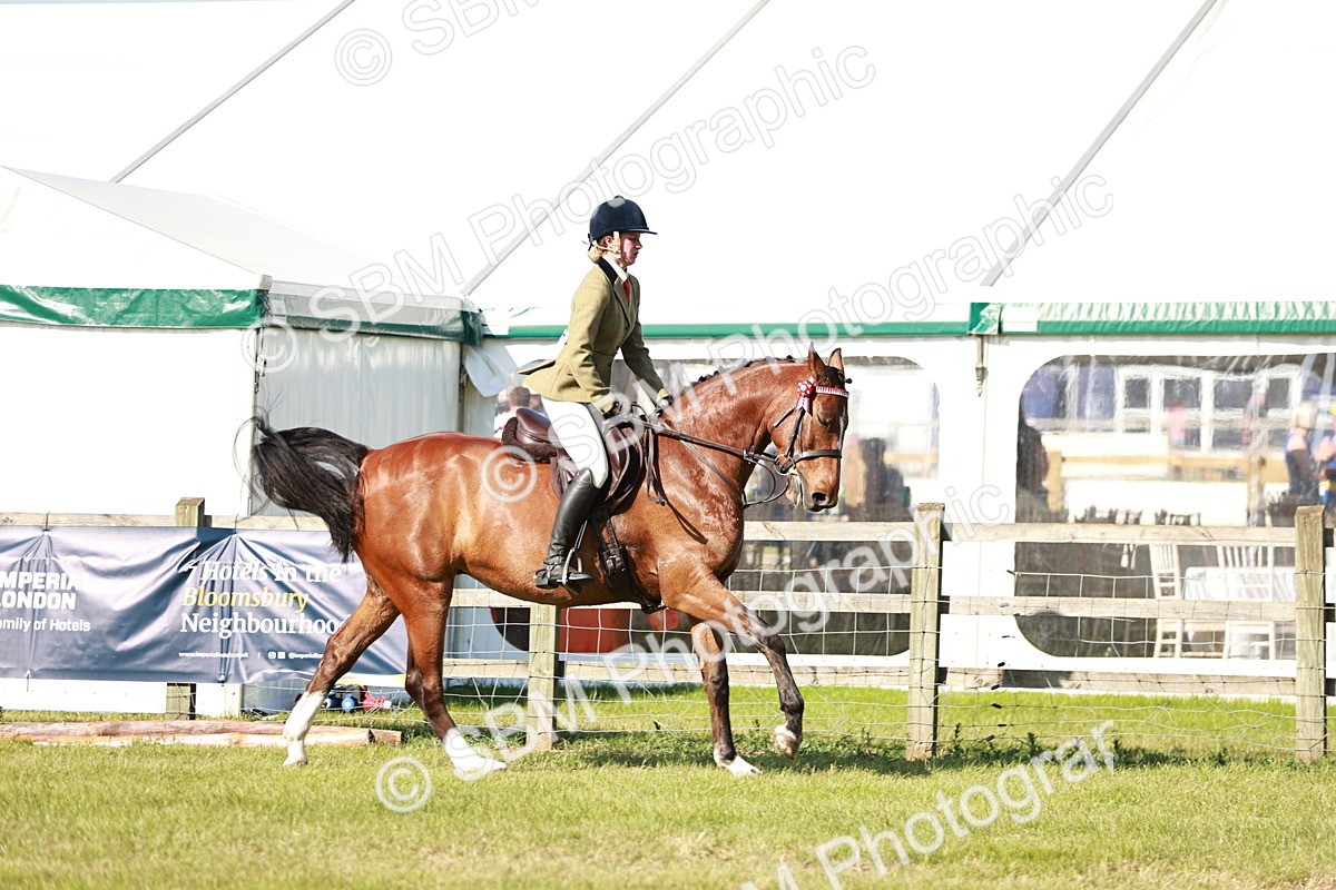 SBM_19235 - Class 115-116 - LIHS BSHA Rising Star Working Hunter & Show Horse