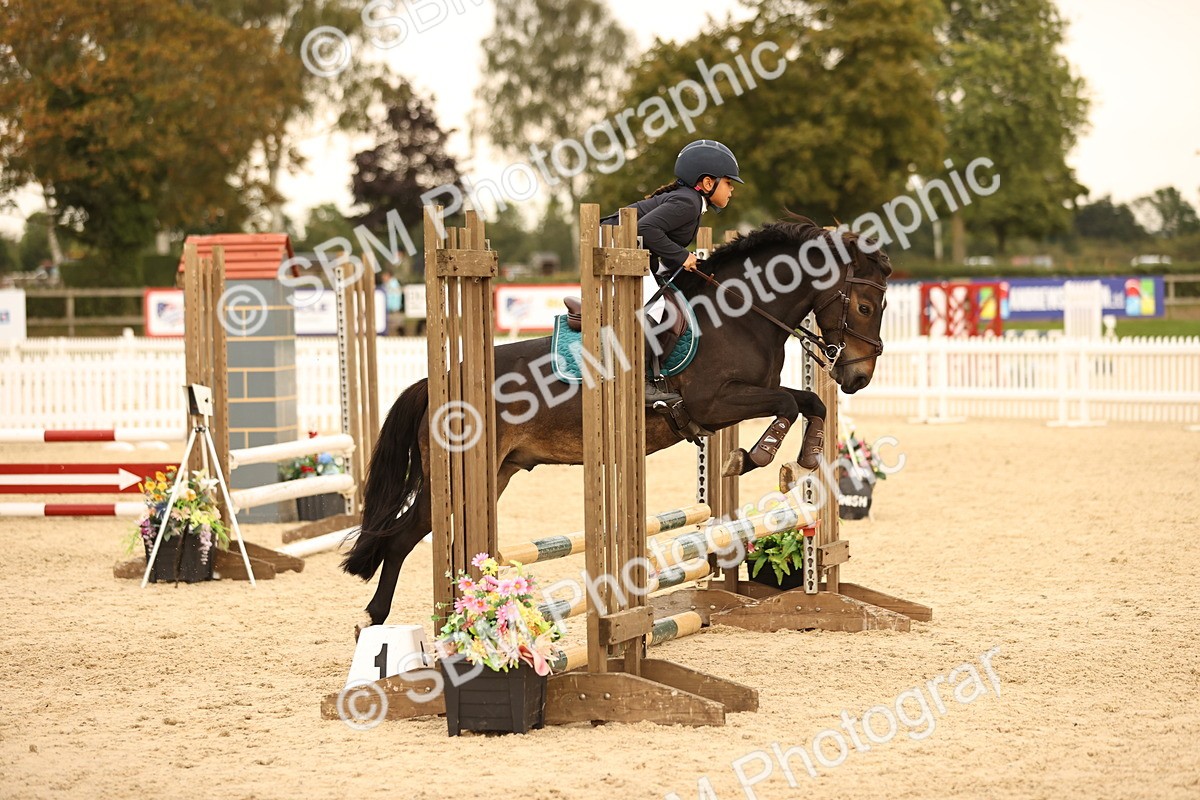SBM_74291 - J14 - Junior Pony 65cm Championship