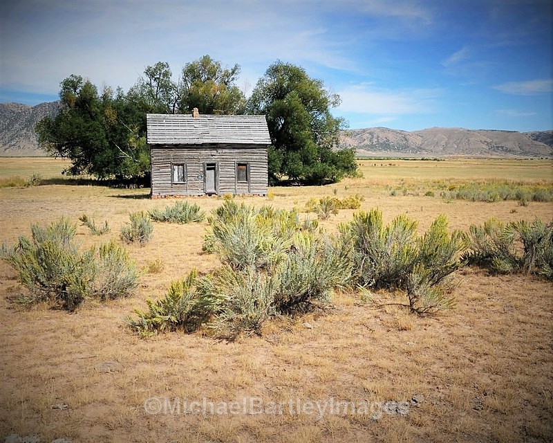 Little Cabin - Style Images