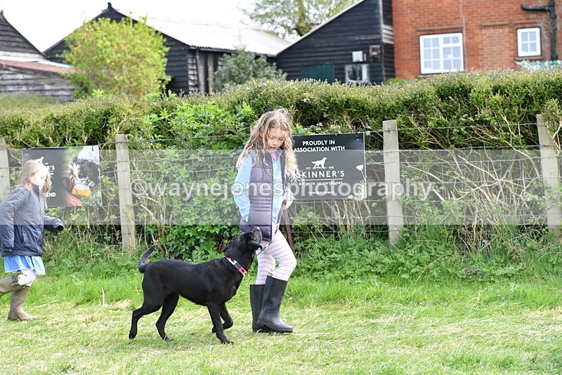 WJ5_0786 - Best in Show Championship