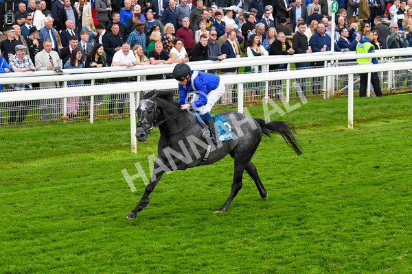 190523-Race 5-Mostabshir-0657 - Race 5 4.10pm Darley Novice Stakes
