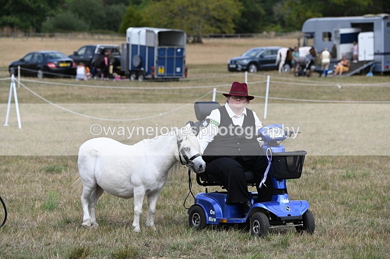 WJ6_6346 - Class 19 In-hand Veterans (Uploaded correct folder)