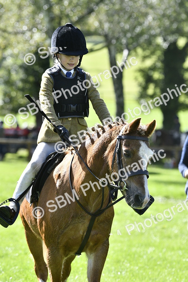 SBM_38215 - S31 - Novice & Newcomer Working Hunter Pony