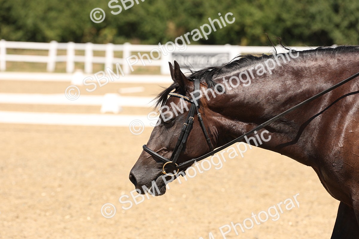 SBM_004935 - Prelim 4 - 13.34-15.39