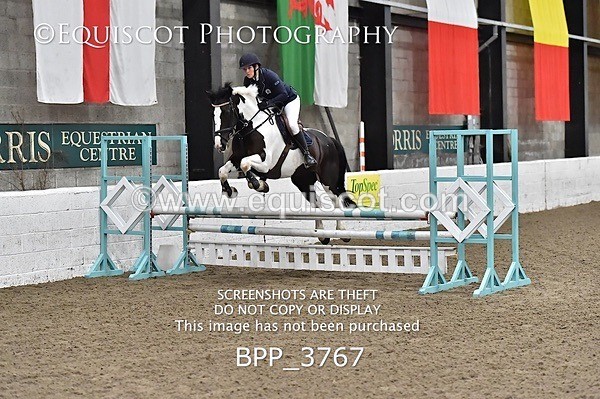 BPP_3767 - FRI CLASS 21 BR NOVICE/90CM