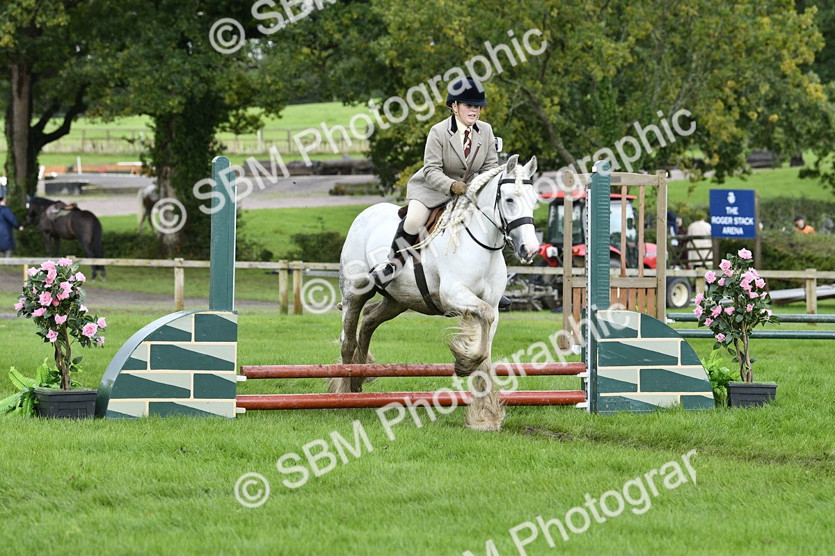 SBM_41534 - S32 - Mountain & Moorland Working Hunter Pony
