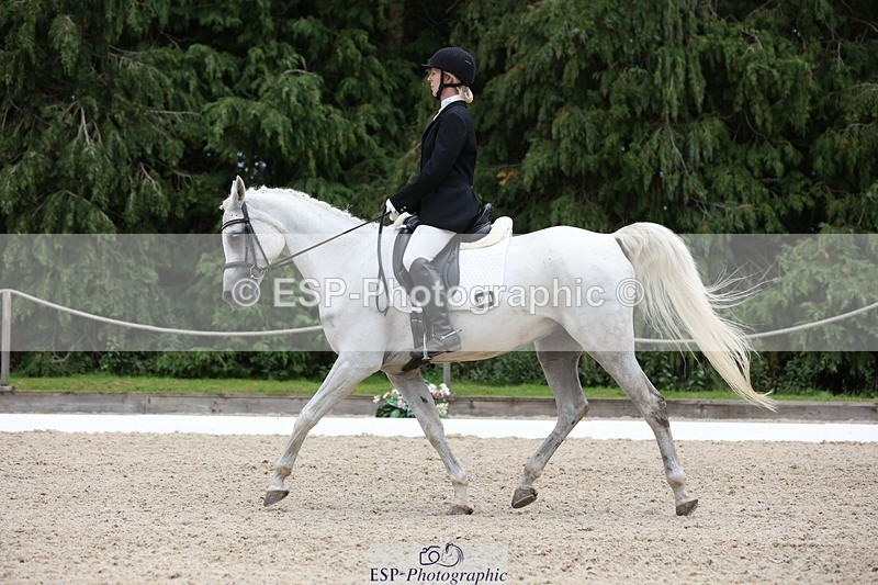 230812-151548-05087 - Cls 5 Novice Bronze 15.00 to End