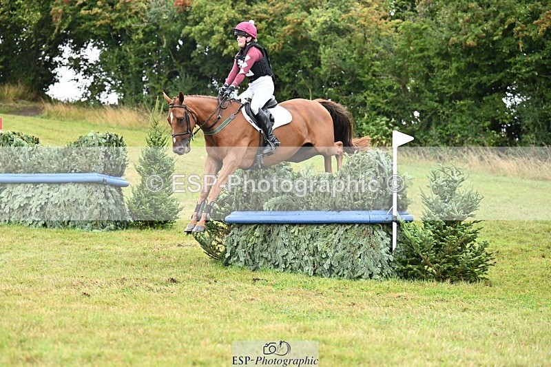 TS_b0895744 - SAT BE 90 Recovered Files fence 8