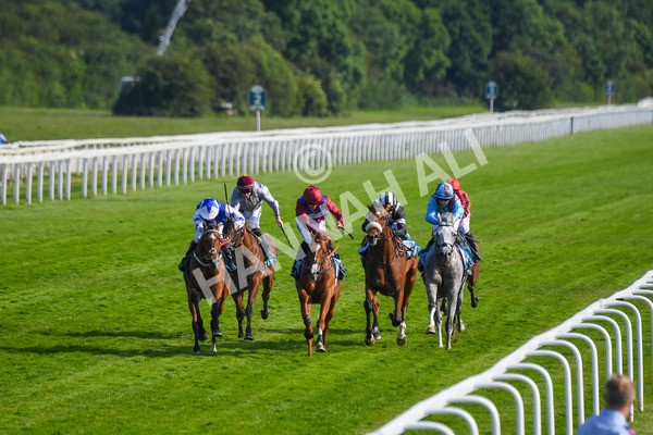 160623-Race 7-Diamond Bay-0755 - Race 7 5.21pm Constant Security Handicap