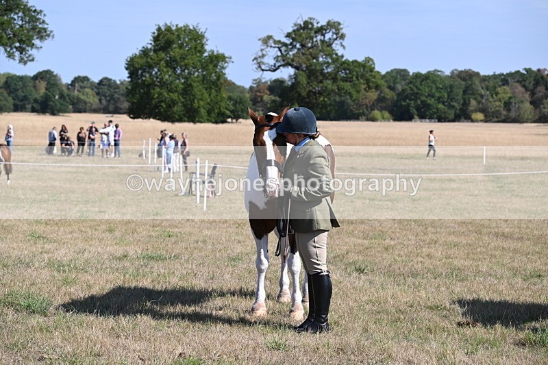 WJ6_4263 - Class 16 Condition & Turn Out