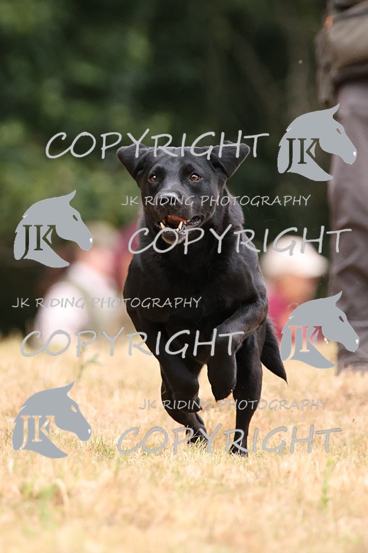 2R6A3483 - ​TEAM A: BORDER COUNTIES & COTSWOLDS 1-2-3