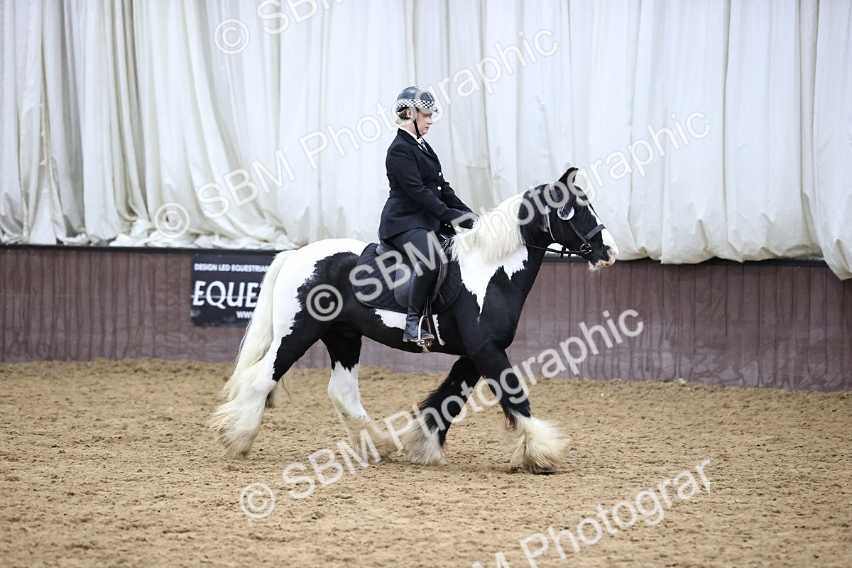 SBM_6333 - Class 45-42 - Ridden Irish Breeds-Ridden Cob