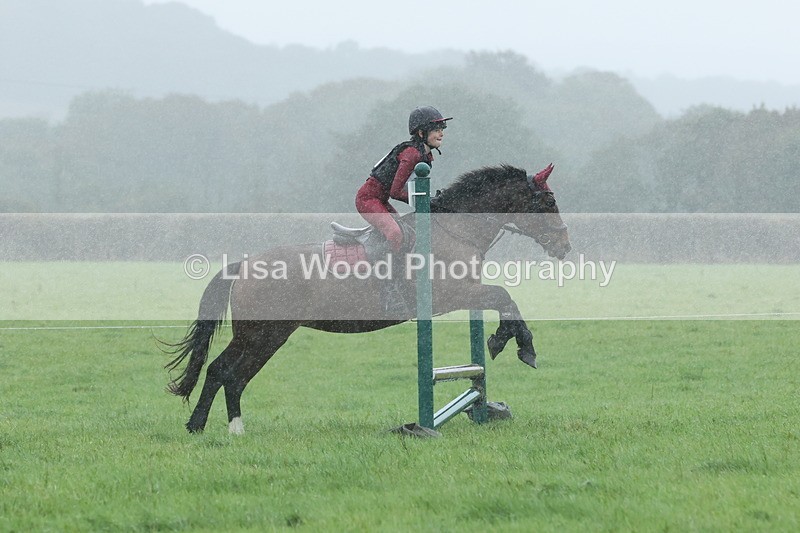 JPP_5055 - Class 1: 65cm : Showjumping