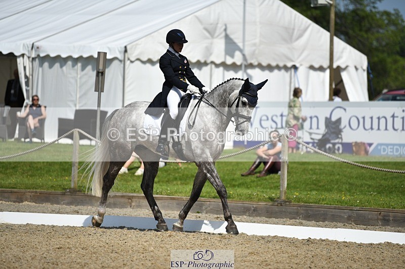 230525-105114-01805 - 316-D'ARTAGNAN-Tiana_Coudray-WEDTrotUp+DR